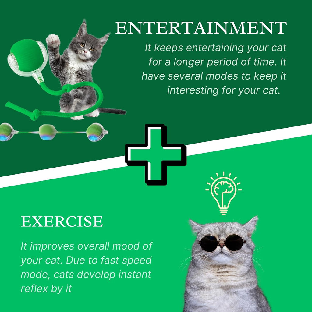 Speedy Tail 2.0: The Ultimate Interactive Cat and Dog Toy for Endless Playtime Fun!