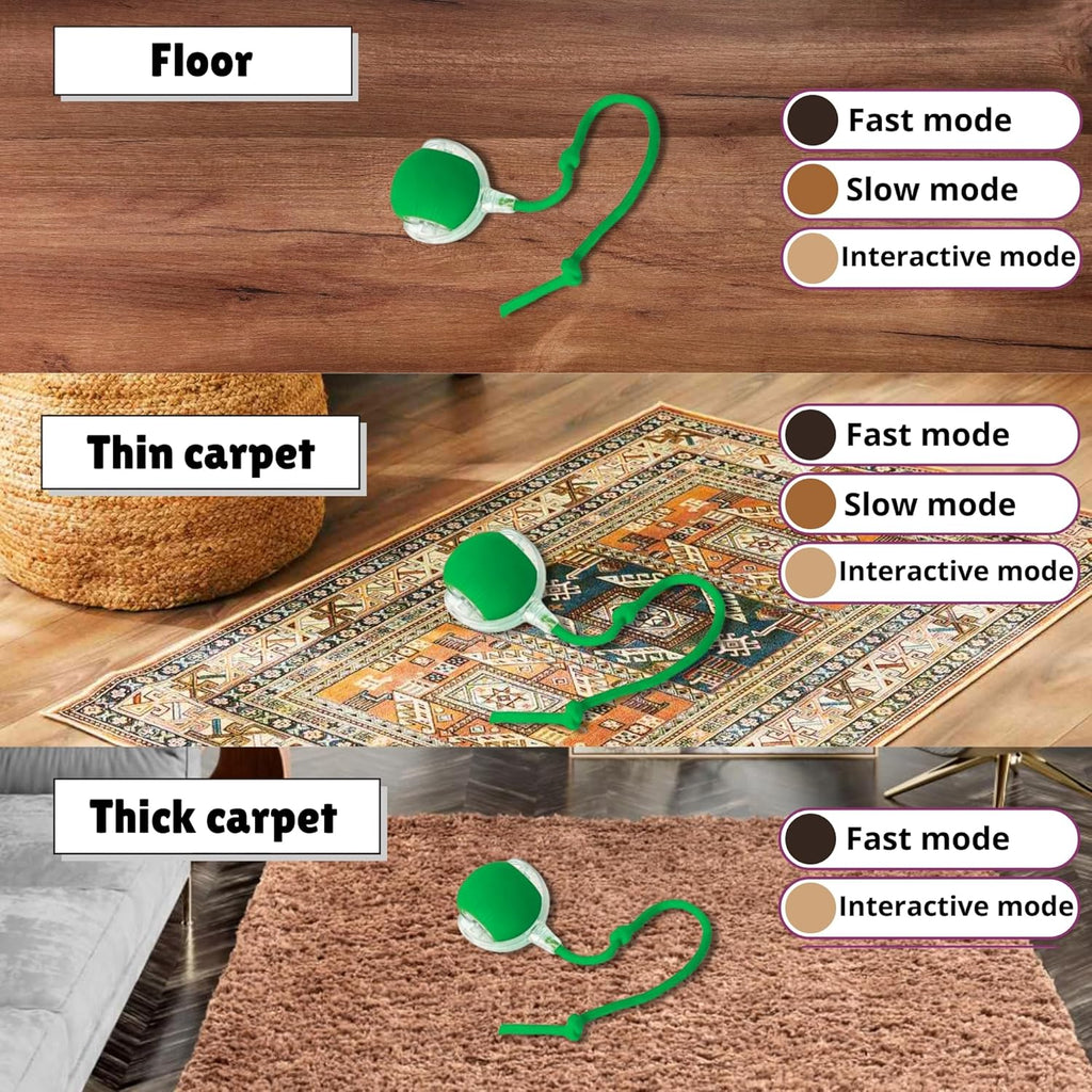 Speedy Tail 2.0: The Ultimate Interactive Cat and Dog Toy for Endless Playtime Fun!