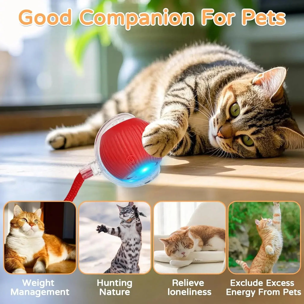 Engaging Automatic Rolling Cat Ball Toy with Faux Tail - Rechargeable Electric Interactive Toy for Cats and Small Dogs