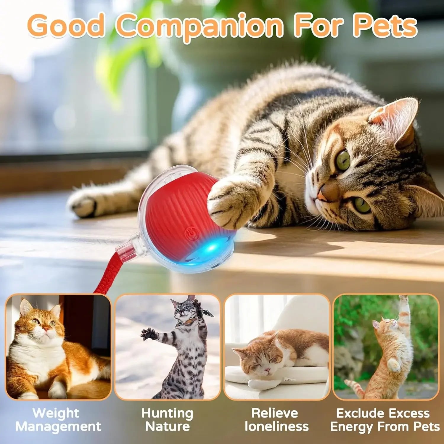 Engaging Automatic Rolling Cat Ball Toy with Faux Tail - Rechargeable Electric Interactive Toy for Cats and Small Dogs