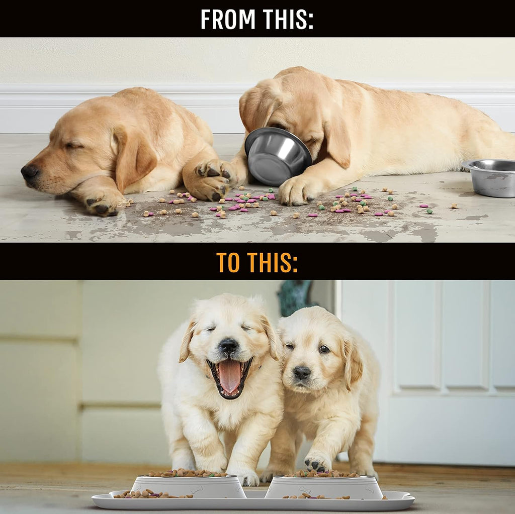 Ultimate No Spill Dog Bowl Set: Stainless Steel Food & Water Bowls with Skid Resistant Silicone Mat for Small, Medium, & Large Breeds