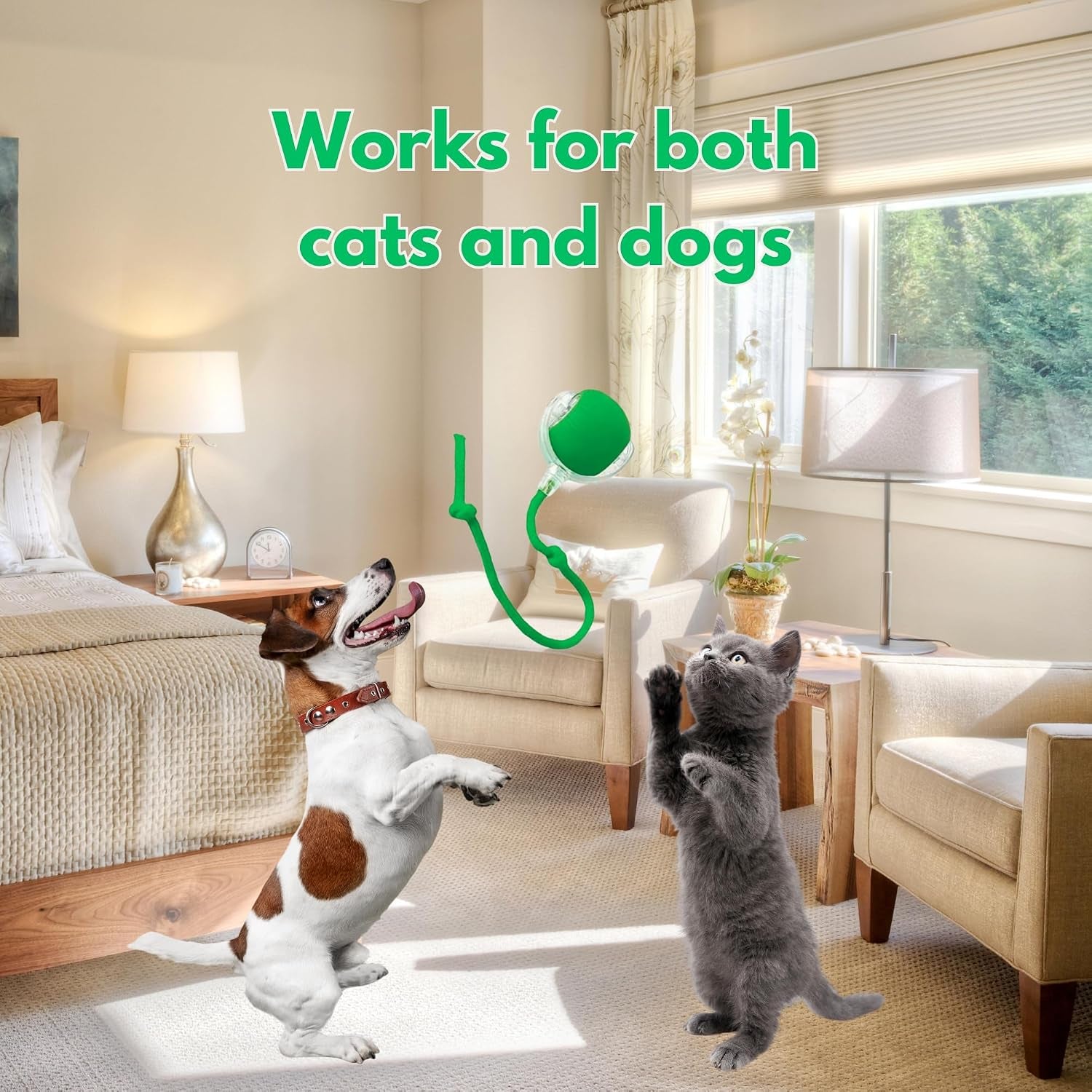 Speedy Tail 2.0: The Ultimate Interactive Cat and Dog Toy for Endless Playtime Fun!